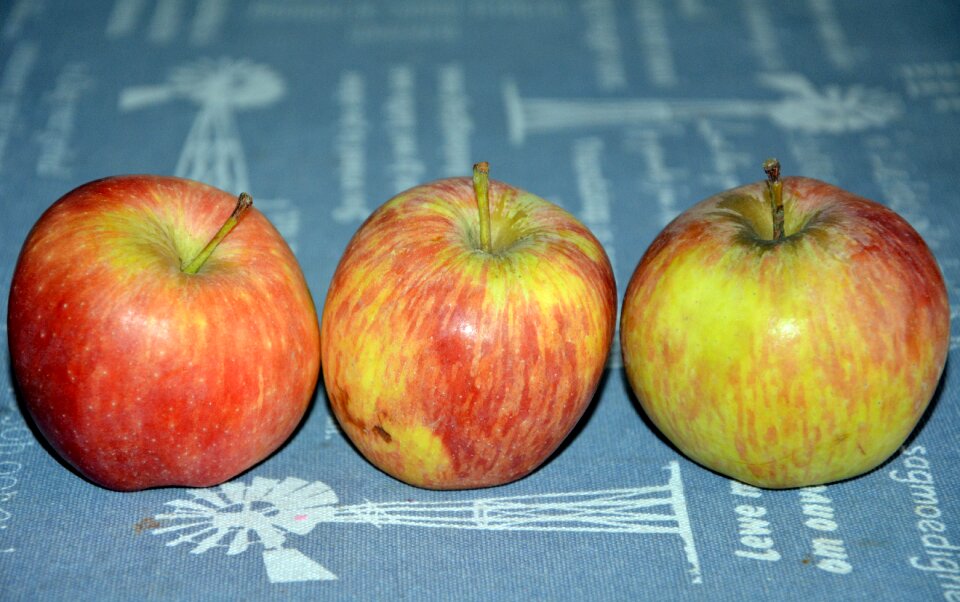 Blue apple blue healthy