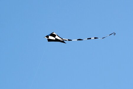 Dragon rising sky flying kites photo