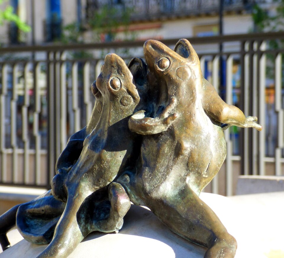 Frogs max blondat dijon