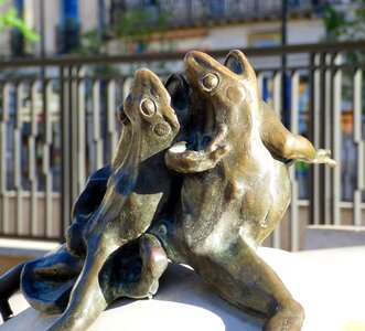 Frogs max blondat dijon