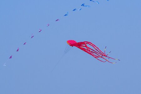 Dragon rising sky flying kites photo
