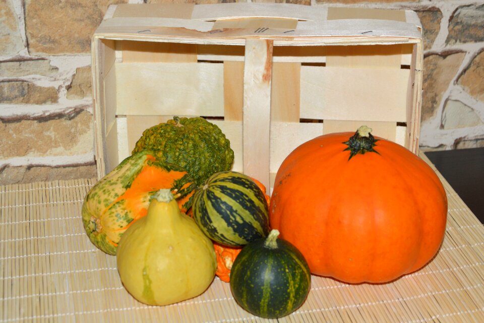 Autumn colorful autumn vegetables