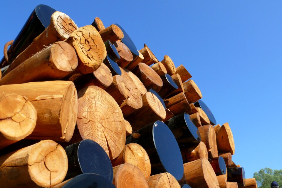 Heat nature forestry