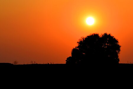 Evening sun evening sky abendstimmung photo