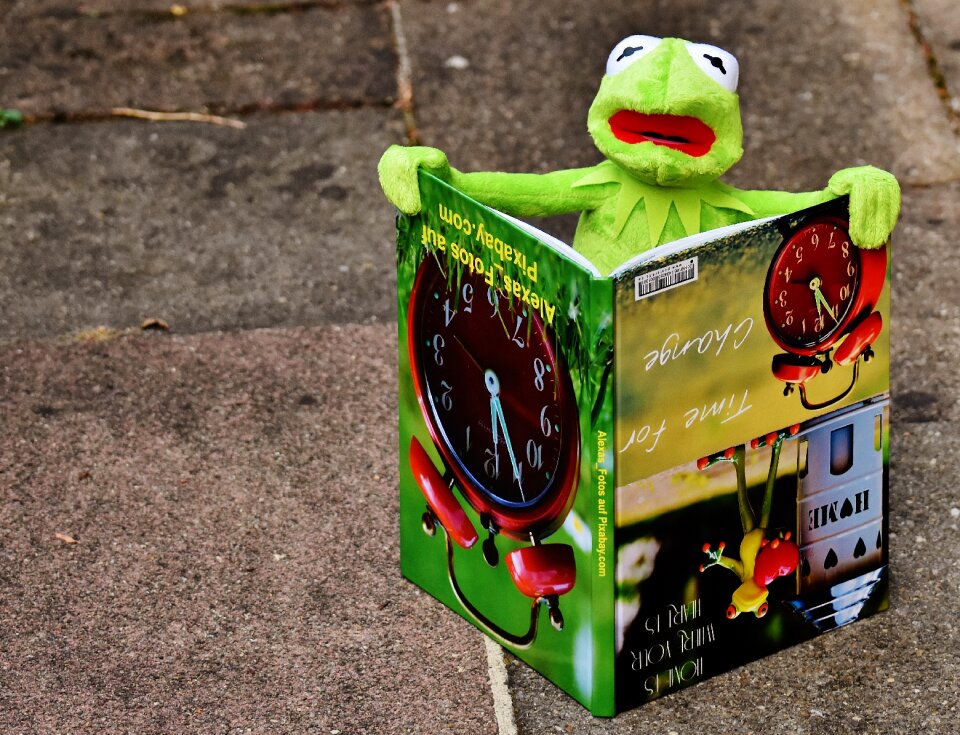 To watch frog sit