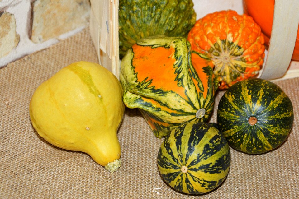 Autumn colorful autumn vegetables
