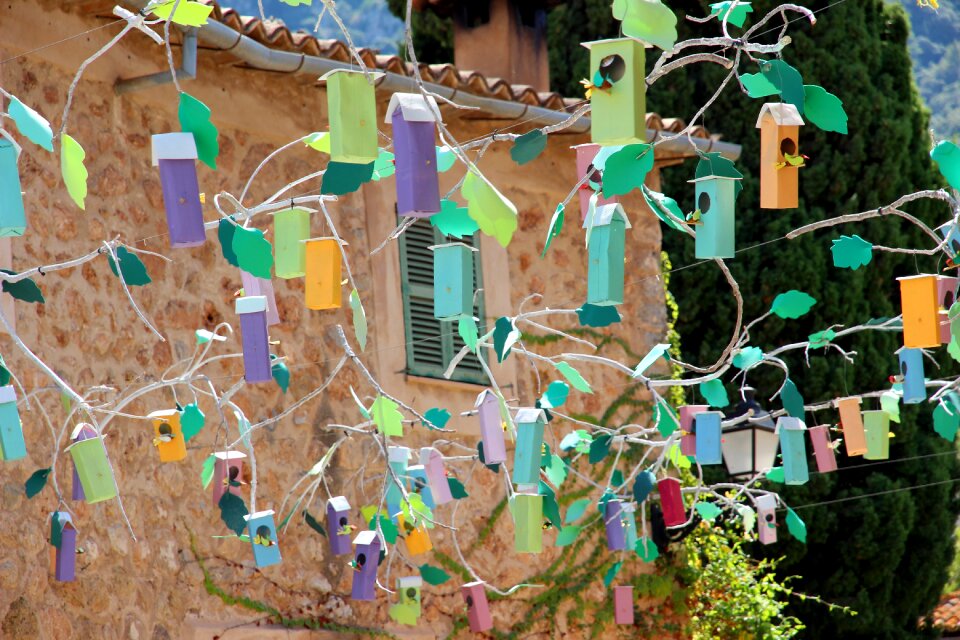 Nesting help birds nest