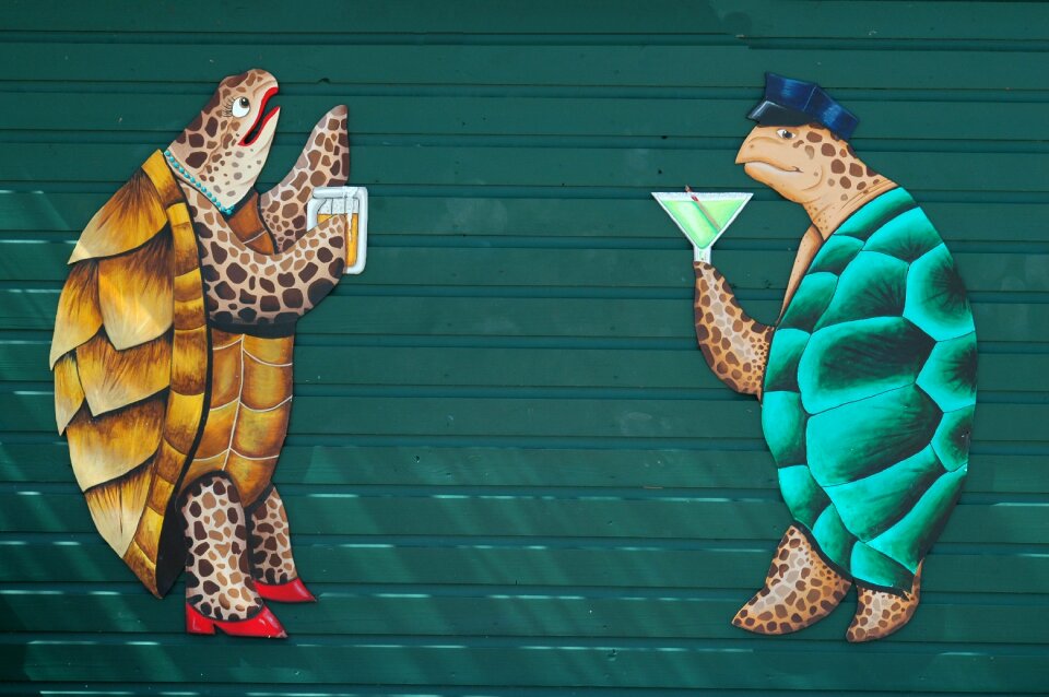Reptile colorful animation