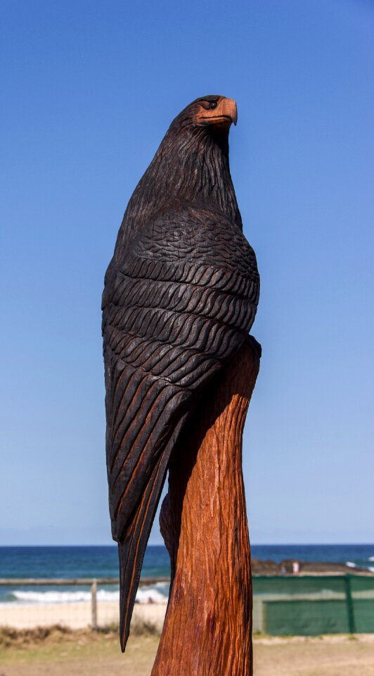 Wood chainsaw sculpture