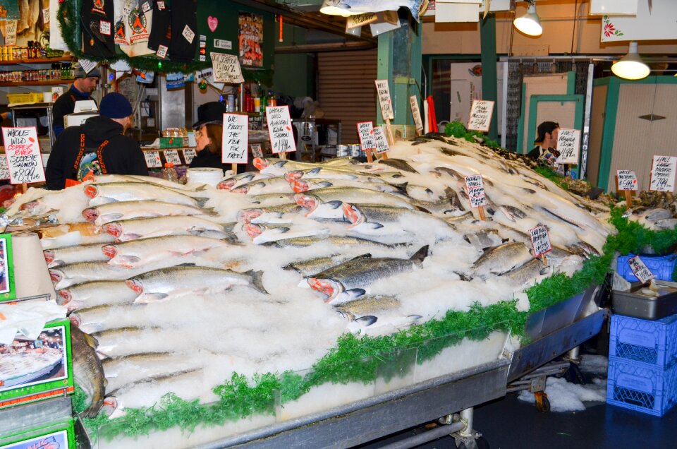 Market seafood food
