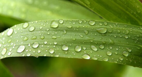 Rain watery weather