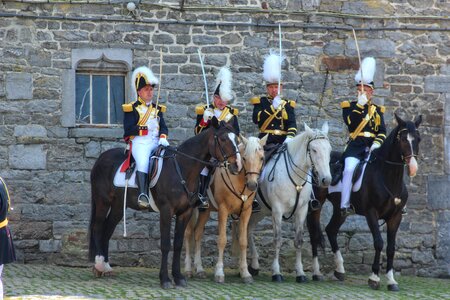 Napoleon folklore horses photo
