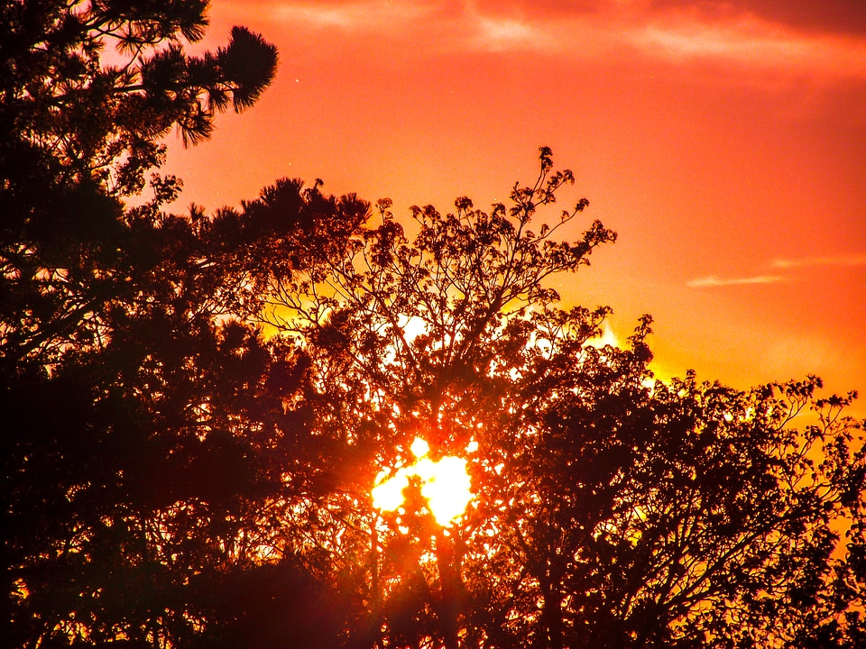 Nature sunset sky