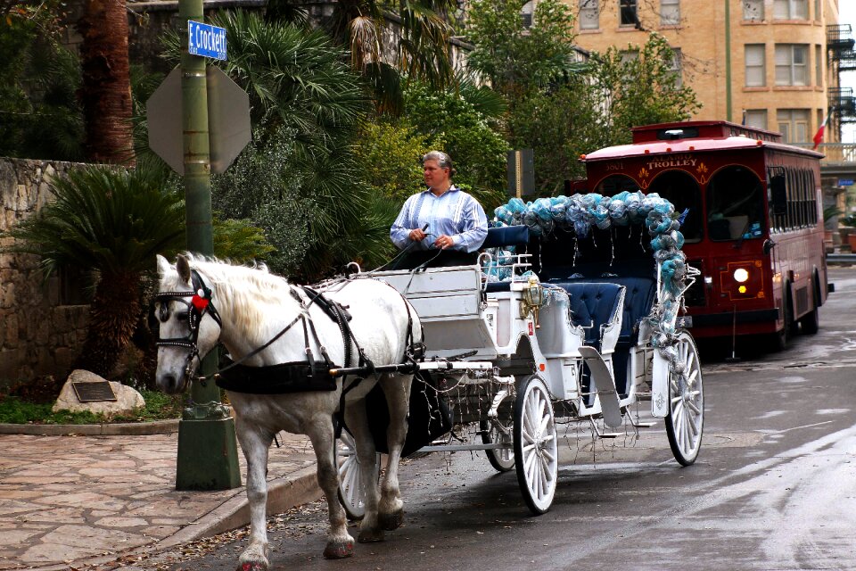 Transportation horse old