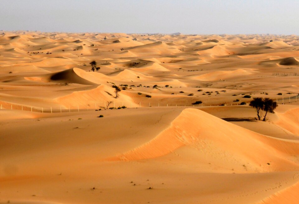 Drought sand emirates