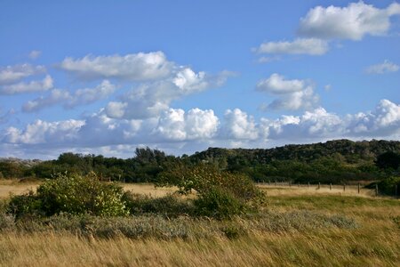 Nature summer north sea photo