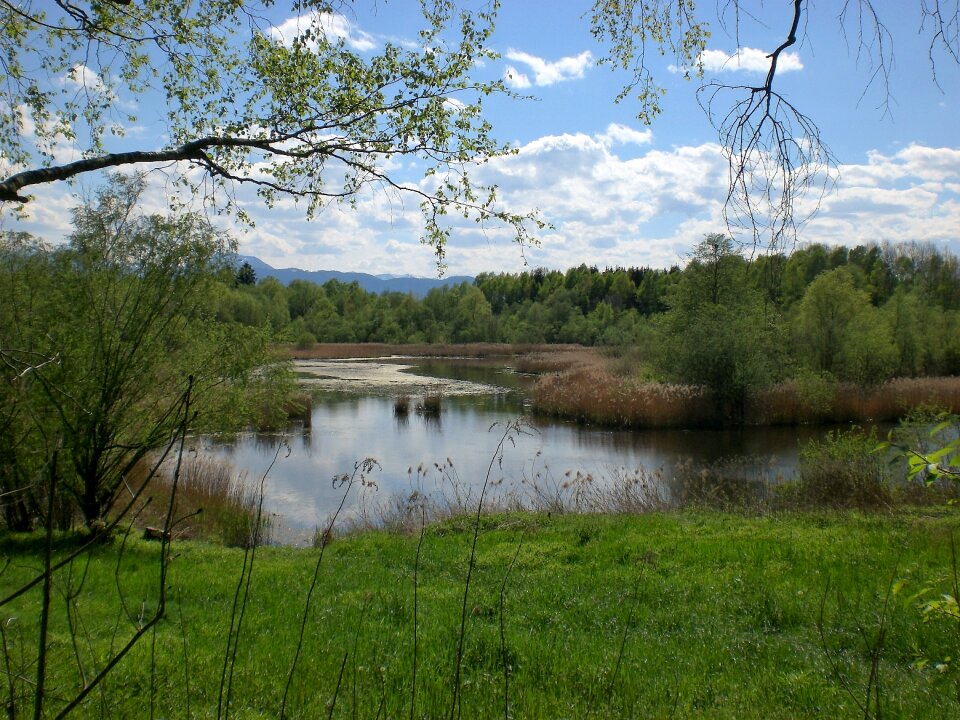 Reserve lake landscape