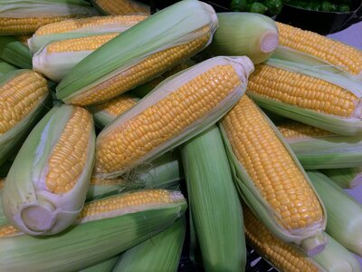 Light green cream color vegetables