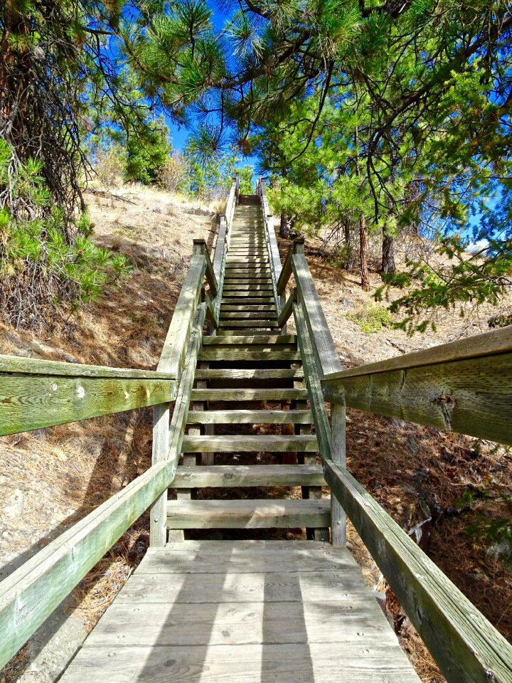 Construction walkway