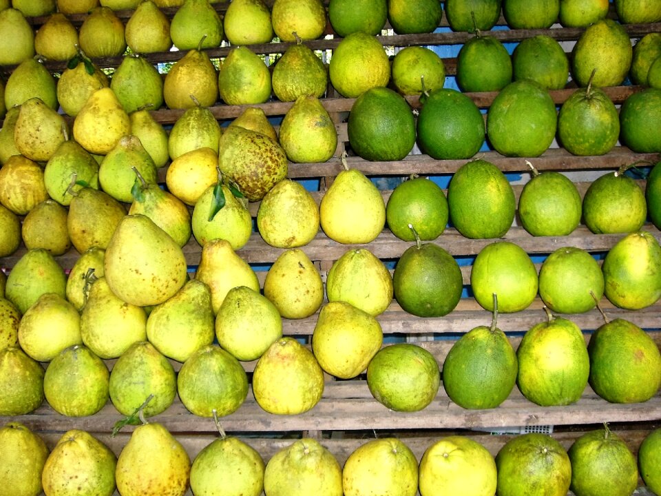 Pears yellow green