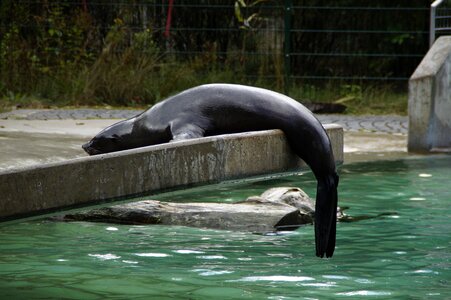 Lazy hang out lying around