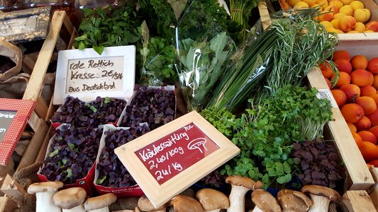 Market fresh vegetables shopping healthy photo