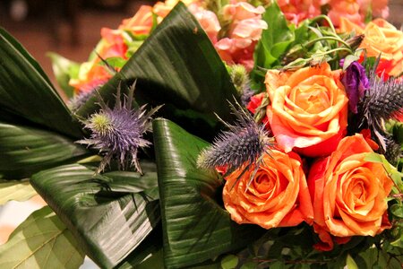 Flower roses bouquet