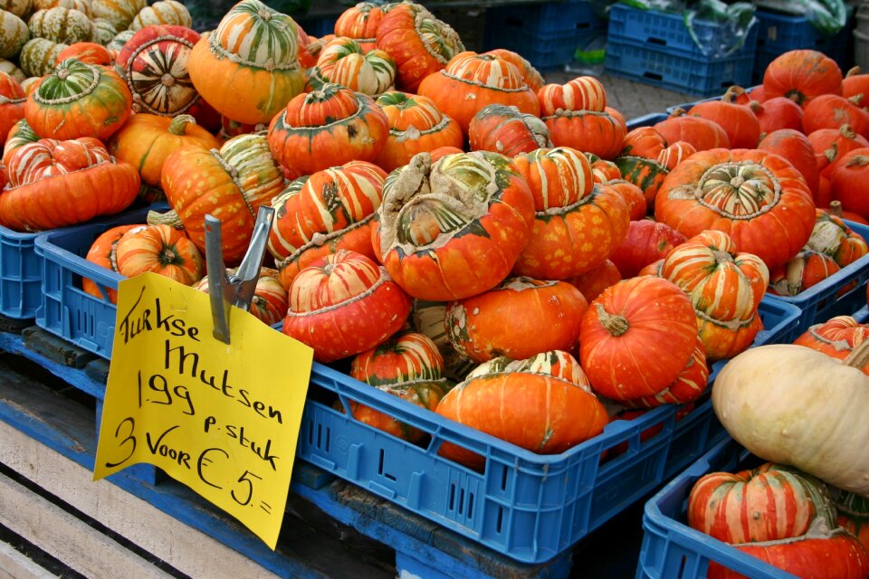 Nature vegetables food