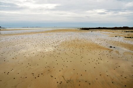 Tide coast ocean
