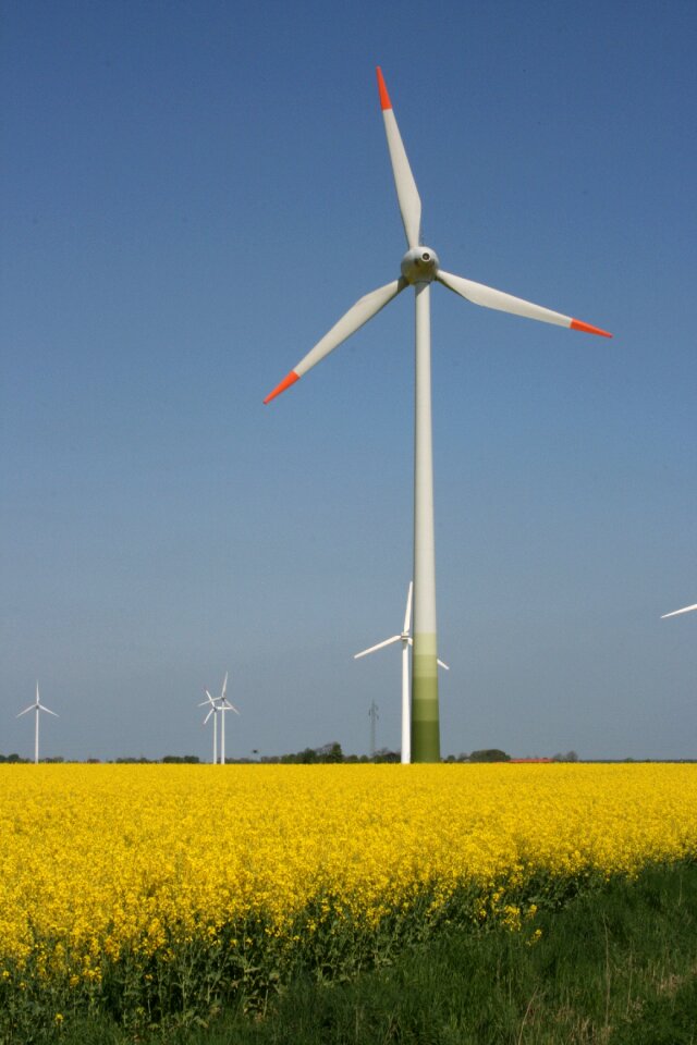 Renewable energy wind energy landscape