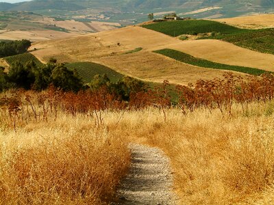 Path fields italy
