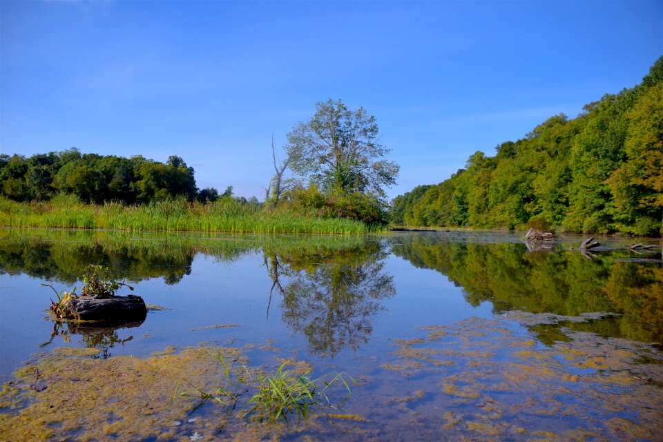 Nature water reflection photo