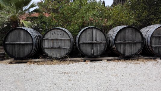 Wood alcohol drink photo