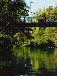 River hesse trees photo
