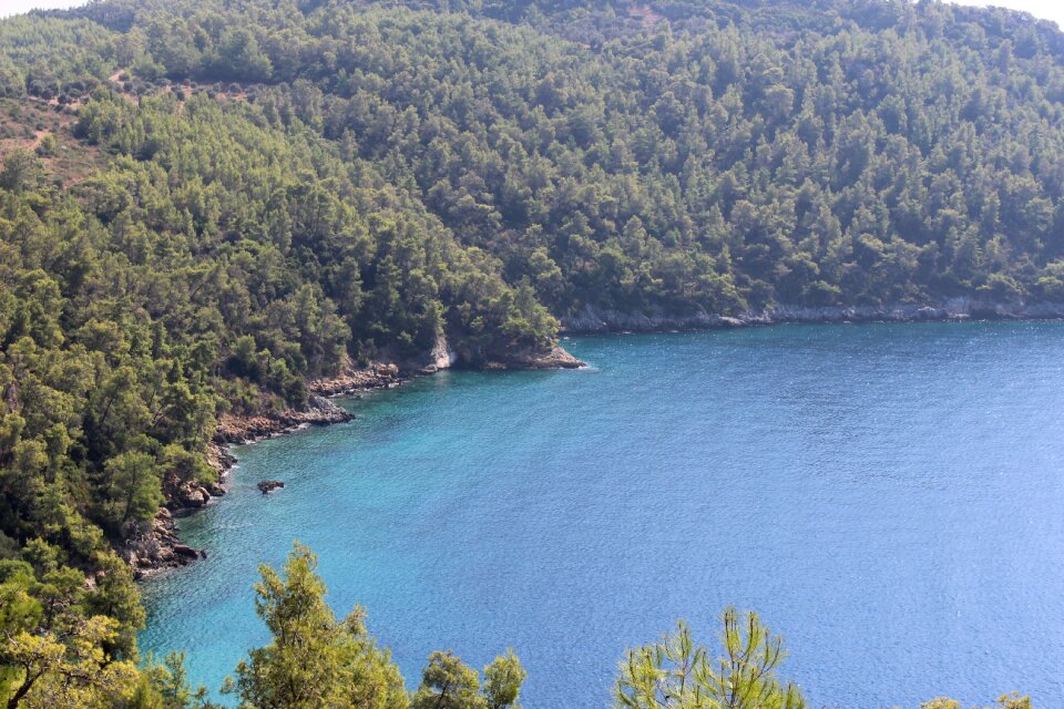 Nature forest marine
