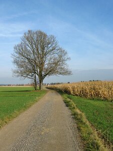 Away path landscape
