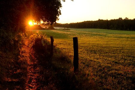 Duvenstedter brook sunrise morgenstimmung