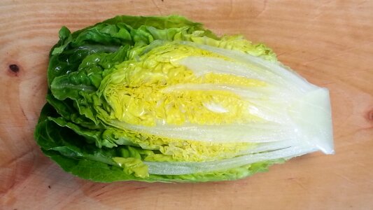 Fresh leaves healthy edible