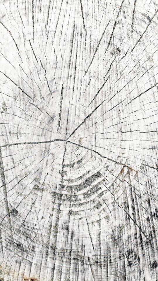 White natural texture
