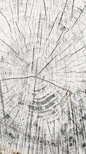 White natural texture