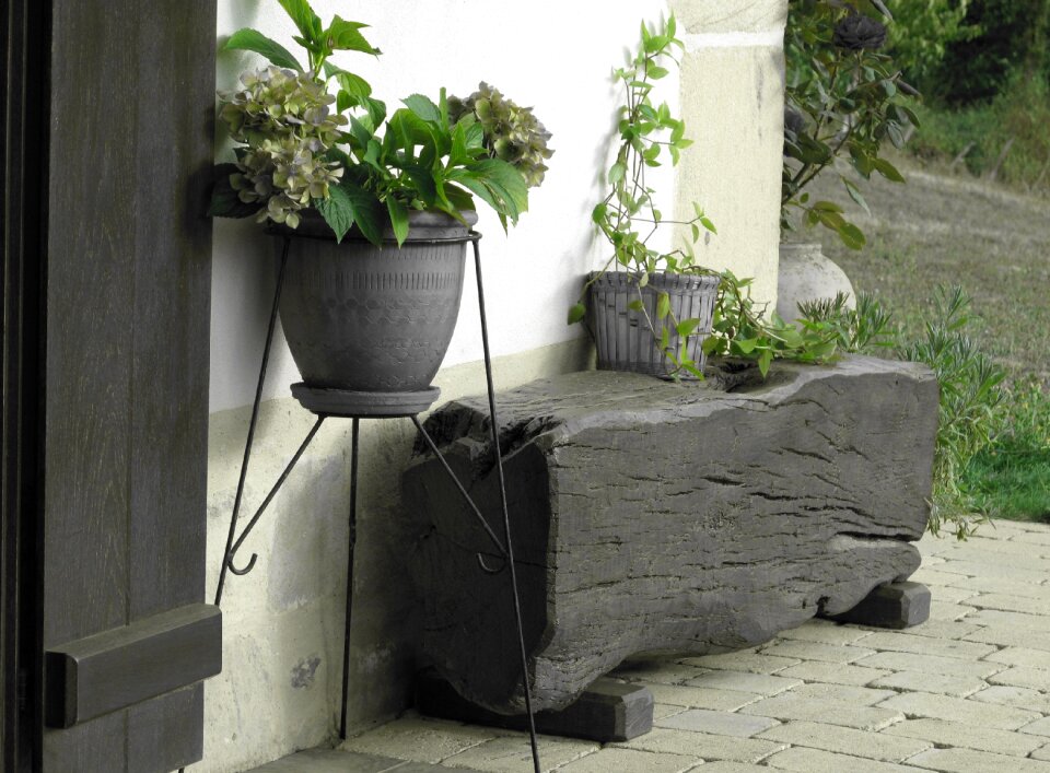Green contrast flowerpot
