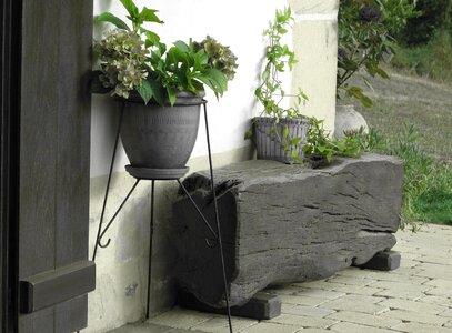 Green contrast flowerpot
