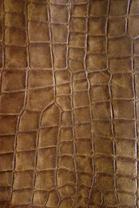 Brown leather structure detail