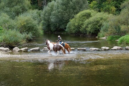 Ride sport cross photo