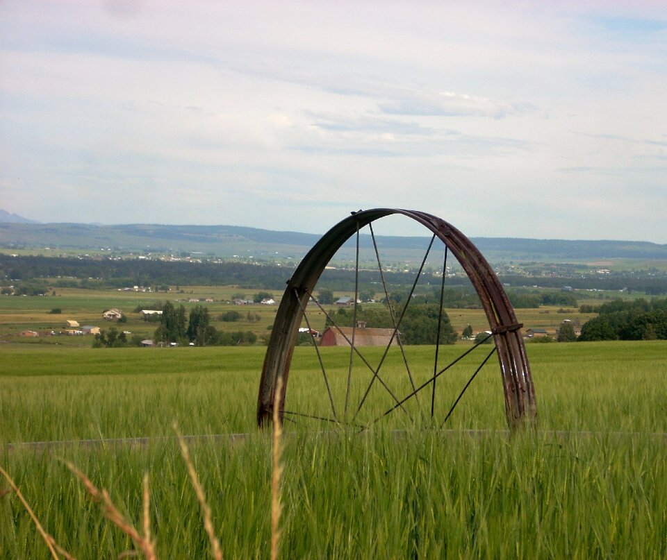 Irrigation line farming crop