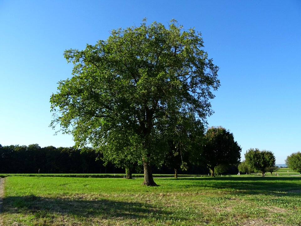 Clear partly cloudy green