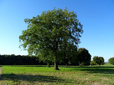 Clear partly cloudy green photo