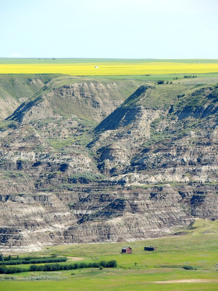 Nature alberta canada