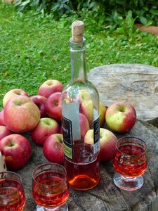 Wine a bottle apples photo