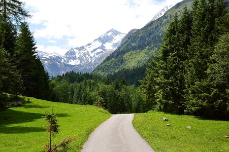 Pasture alpine green